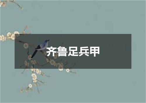 齐鲁足兵甲