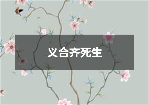 义合齐死生
