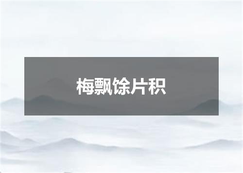梅飘馀片积