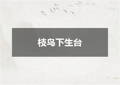 枝鸟下生台