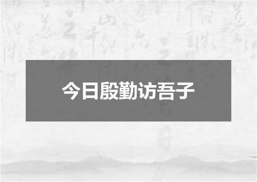 今日殷勤访吾子