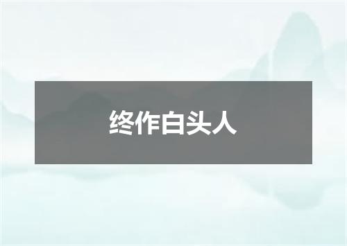 终作白头人