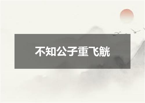 不知公子重飞觥