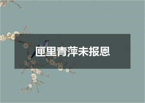 匣里青萍未报恩
