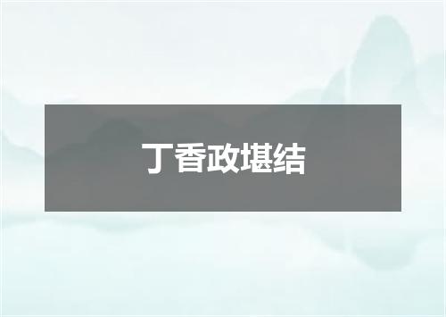 丁香政堪结