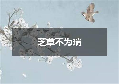 芝草不为瑞
