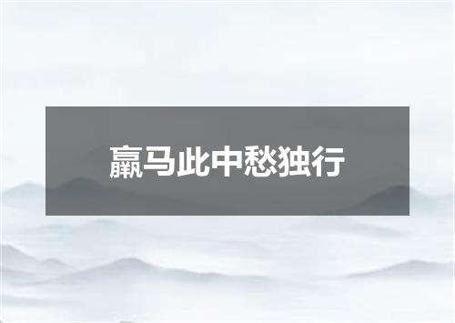 羸马此中愁独行