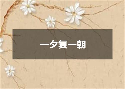 一夕复一朝