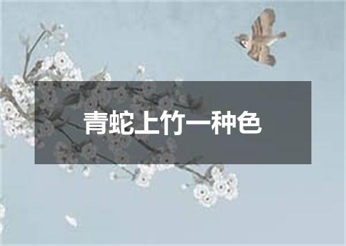青蛇上竹一种色