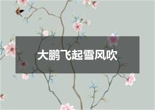 大鹏飞起雪风吹