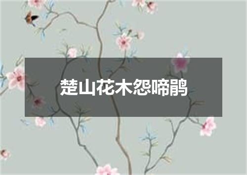楚山花木怨啼鹃