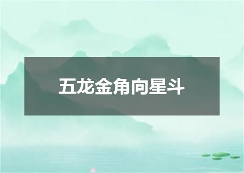 五龙金角向星斗