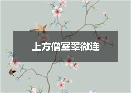 上方僧室翠微连