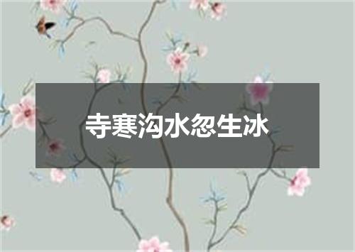 寺寒沟水忽生冰