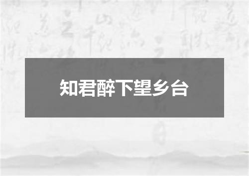 知君醉下望乡台