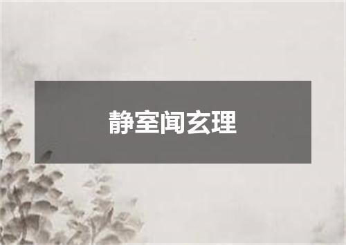 静室闻玄理
