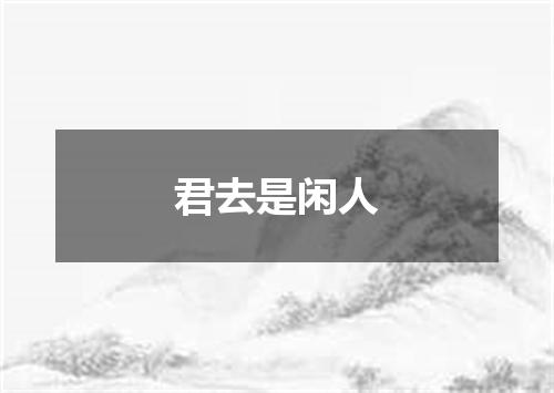 君去是闲人