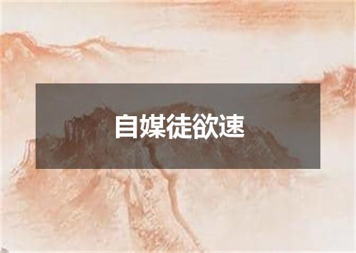 自媒徒欲速
