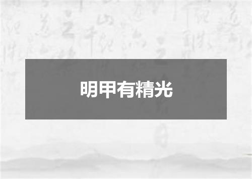 明甲有精光