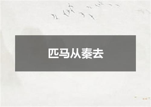 匹马从秦去