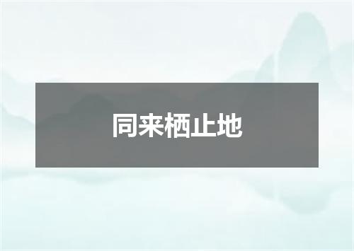 同来栖止地