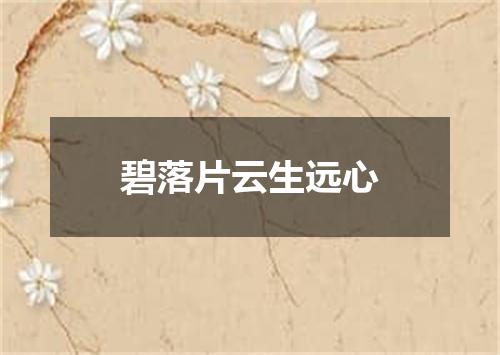 碧落片云生远心