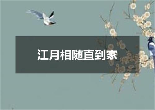 江月相随直到家