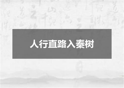 人行直路入秦树