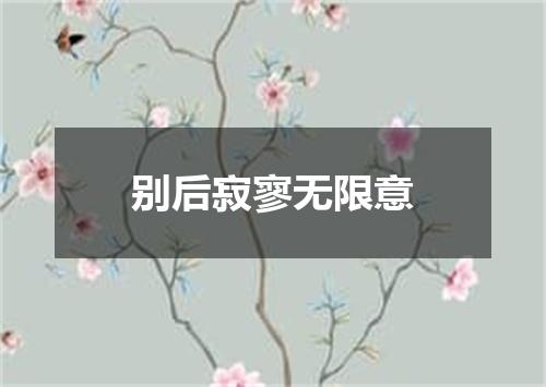 别后寂寥无限意