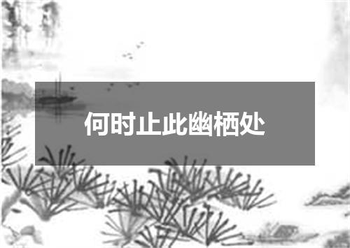 何时止此幽栖处