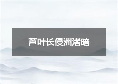 芦叶长侵洲渚暗
