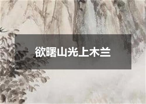 欲曙山光上木兰