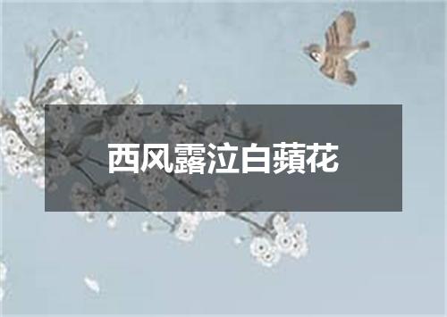 西风露泣白蘋花