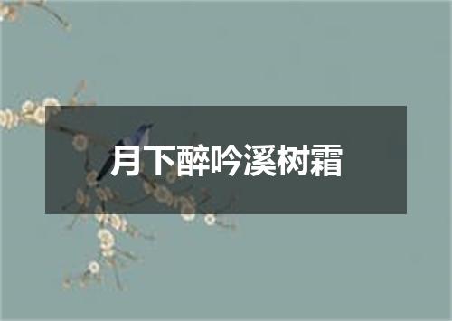 月下醉吟溪树霜