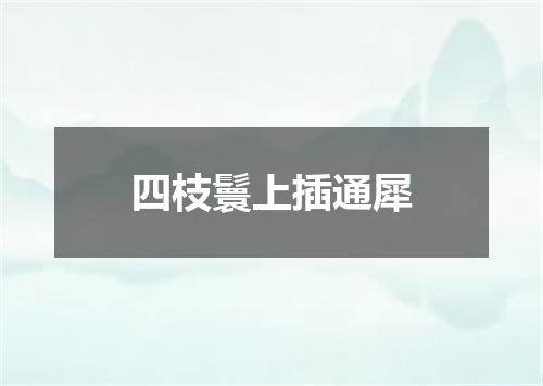 四枝鬟上插通犀