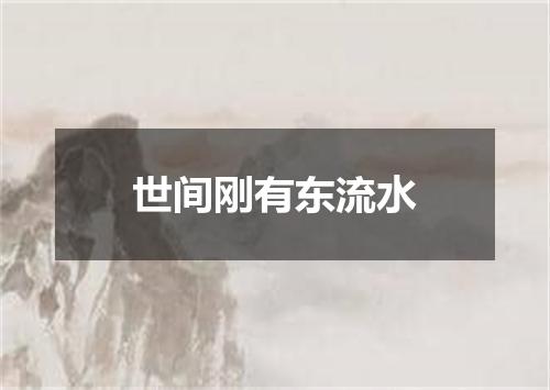 世间刚有东流水