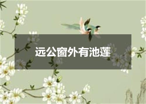 远公窗外有池莲