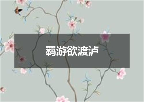 羁游欲渡泸