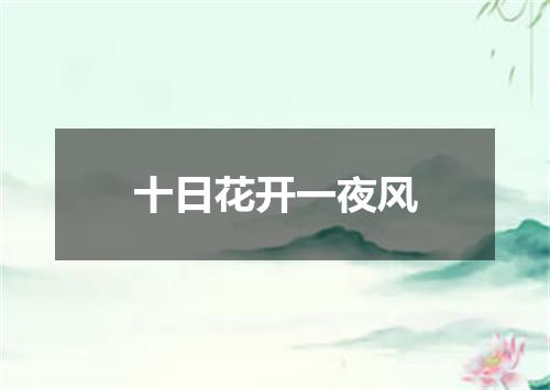 十日花开一夜风