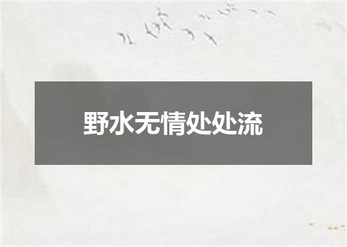 野水无情处处流