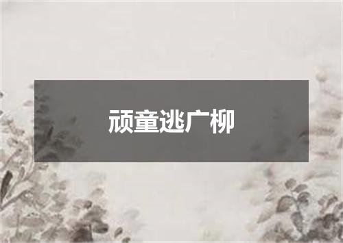 顽童逃广柳