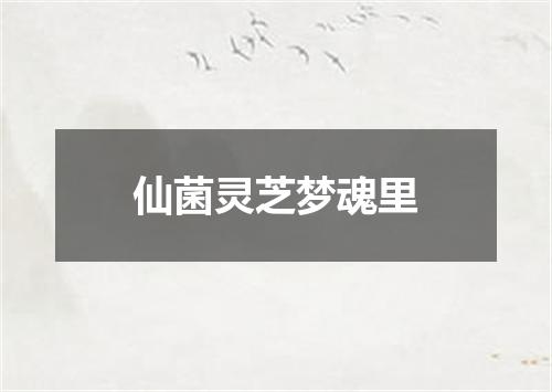 仙菌灵芝梦魂里