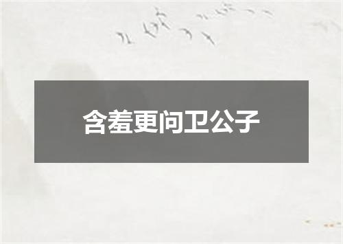 含羞更问卫公子