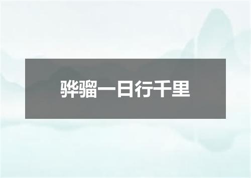 骅骝一日行千里