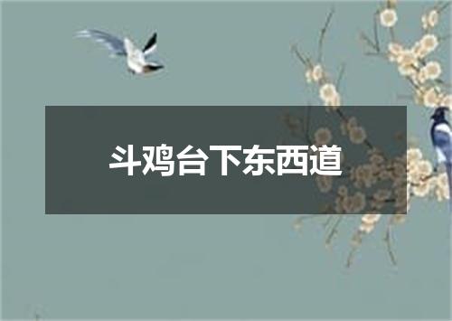 斗鸡台下东西道