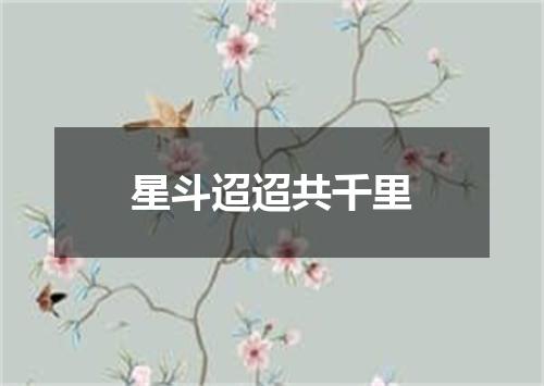 星斗迢迢共千里