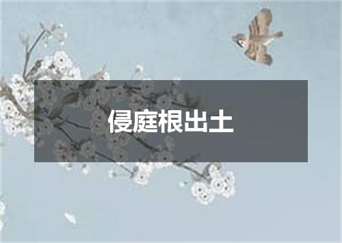 侵庭根出土