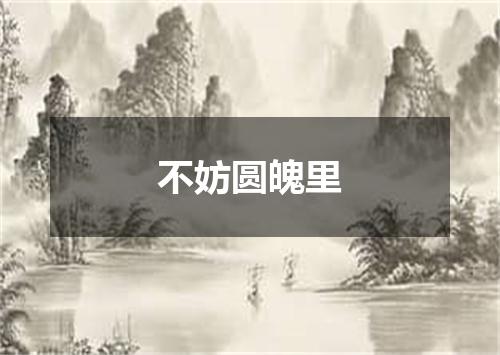 不妨圆魄里