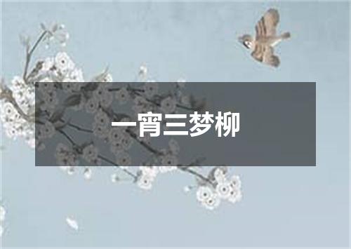 一宵三梦柳