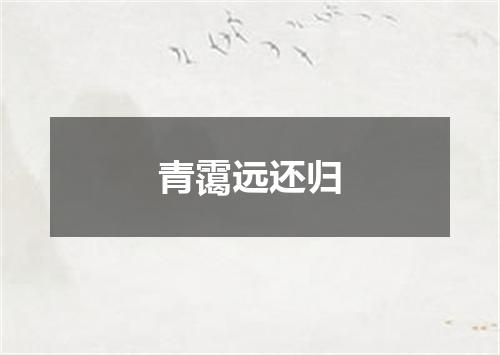 青霭远还归
